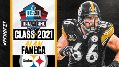 Troy Polamalu, Alan Faneca and Hines Ward among Pro Football Hall