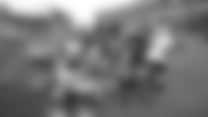 The Sourodugh Bowl 2017 (Sourodugh and his Mascot Friends)