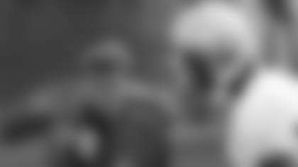 fippgiants.jpg