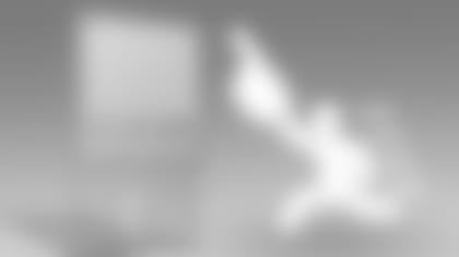 fly.jpg