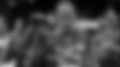 021513-fans-header.jpg