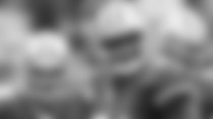 021110-spikes-header.jpg