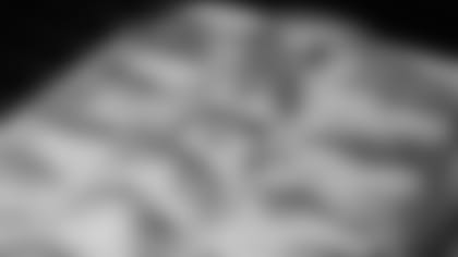 Skillet Chicken Pot Pie