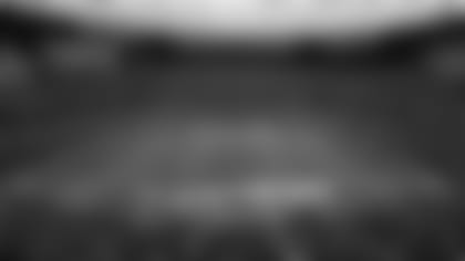 allegiant-stadium-aaron-m-sprecher