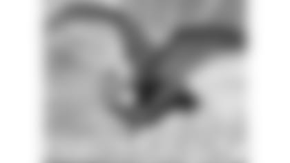 comic-strip-2019-ch13-panel2-article