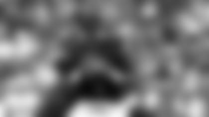 fields-main-100621-NEW