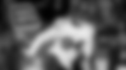 Bears LB Robert Quinn in action.