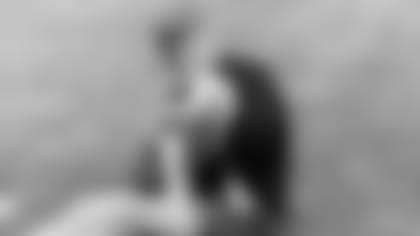 kmet-Bears-paws-082621