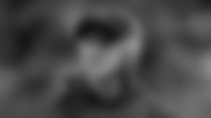 fox_inside_112115.jpg