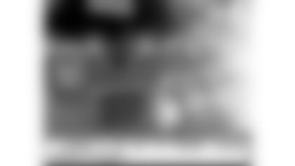 comic-strip-2019-ch6-panel2-article