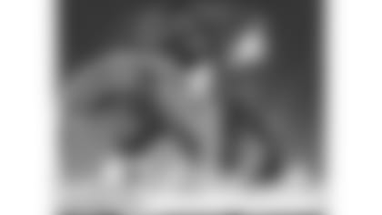 comic-strip-2019-ch15-panel3-article