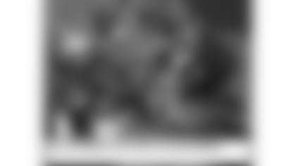 comic-strip-2019-ch15-panel4-article