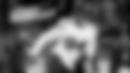 Bears LB Robert Quinn in action.