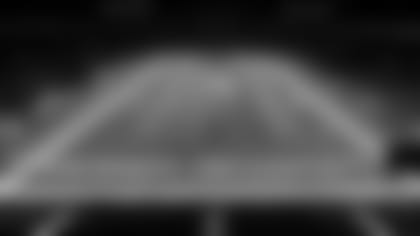 The field at Lucas Oil Stadium during the 2019 NFL Combine