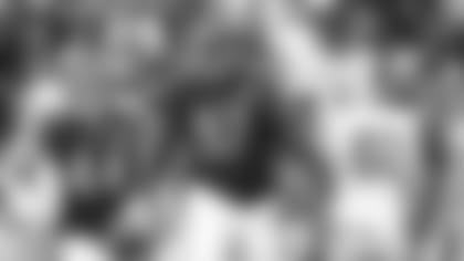 williams-main-123019