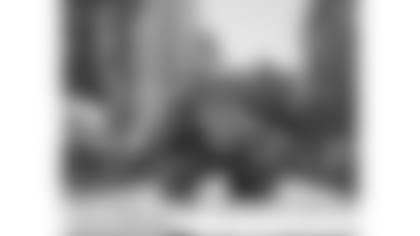 comic-strip-2019-ch15-panel2-article