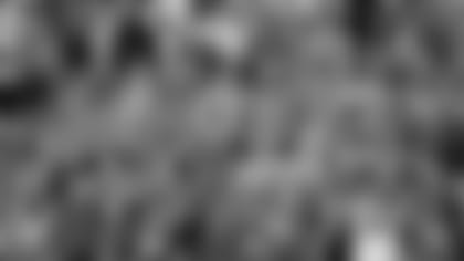 200330-zoom-background-fans