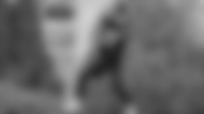 Defensive back Demetrious Cox makes a play on the ball during the team's voluntary minicamp.