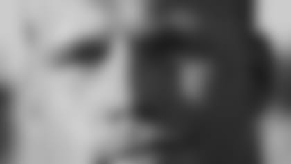 bjork_carl-johan.jpg