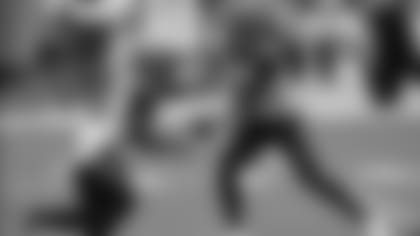 Cincinnati Bengals quarterback Brandon Allen (8) hands the all to running back Giovani Bernard (25) during the first half of an NFL football game against the Miami Dolphins, Sunday, Dec. 6, 2020, in Miami Gardens, Fla.