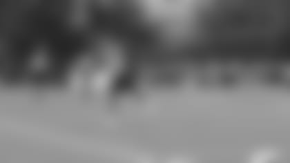 Alex Erickson took home the coveted Bengals.com Player of the Day with catches like this.