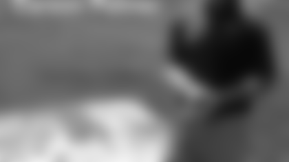 palmer_goldstar070712.gif