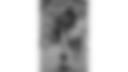 071230-Bengals_Dolphins-AP_07123009451-Luis M. Alvarez-NEW