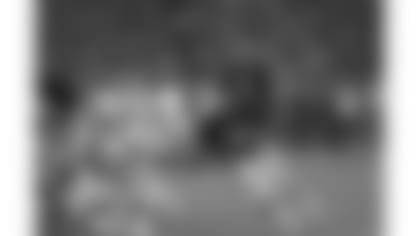 860816-Bengals-AP_8609190320-Hoda Bakhshandagi-NEW