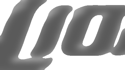 lions_wordmark.gif