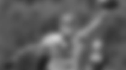 Alex Erickson is going to get plenty of chances this camp.