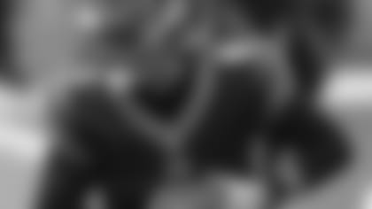 Brandon Allen is back as a backup.