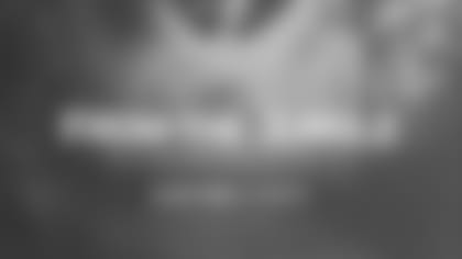 FromTheJungle-WATCH_2560x1440