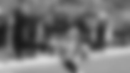 The Bengals are hoping their new running game springs Joe Mixon.