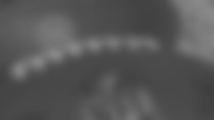 190915-Bengals_football_field (AP)