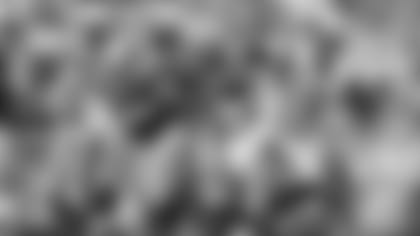 The Bengals couldn't catch Cam Newton and friends Sunday.