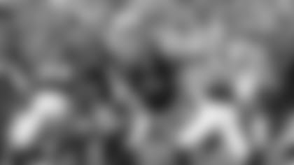 Ryan Fitzpatrick (11) as a Bengal.