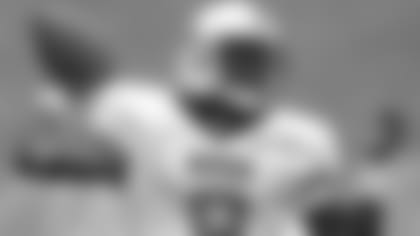 lewis-career-photos-embed.jpg