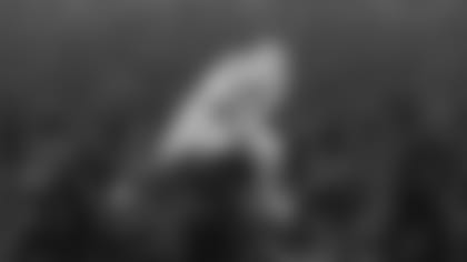 BBS-06689_-_Buffalo_Bills_Weekly_Wallpapers_In-Season_AllenJump_Desktop (1)