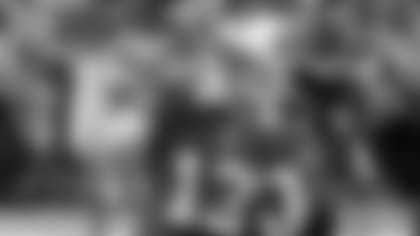 stevie-update-story.jpg