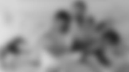 091319-hauschpups-cover