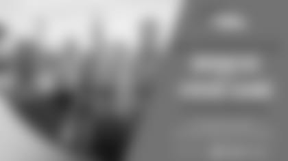Xcel Energy Flyaway Promotion Web Header