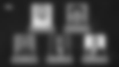 diversity_coaching_personnel_wide