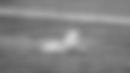 flag_CP_151109.jpg