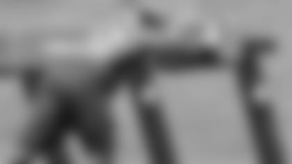 120614_elvis_inside.jpeg