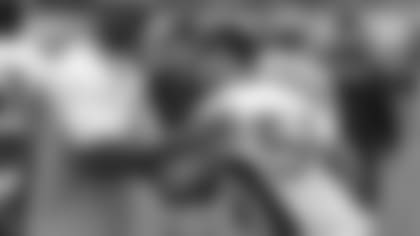 150601_ray2_CP.jpg