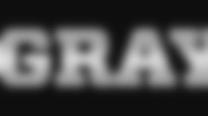 550x100_GrayMatter1.jpeg