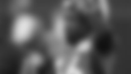 151218_brief.jpg
