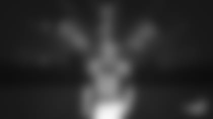 probowl_kreiter_wide