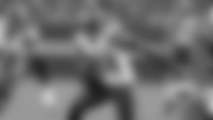 082415_crow_576.jpg