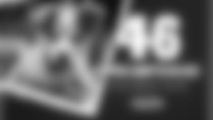 23_SUGARDALE_PUPPYPOUND_2560x1440 (1)